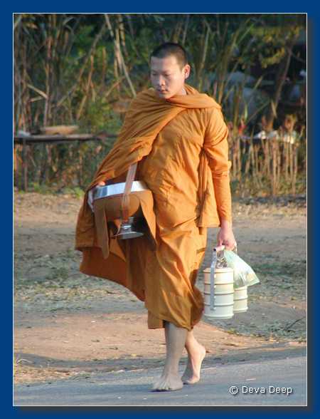 Khao Yai NP Green Leaf Guesthouse Monks 20030109